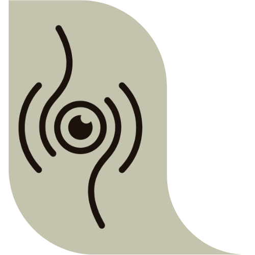 tapvision.in