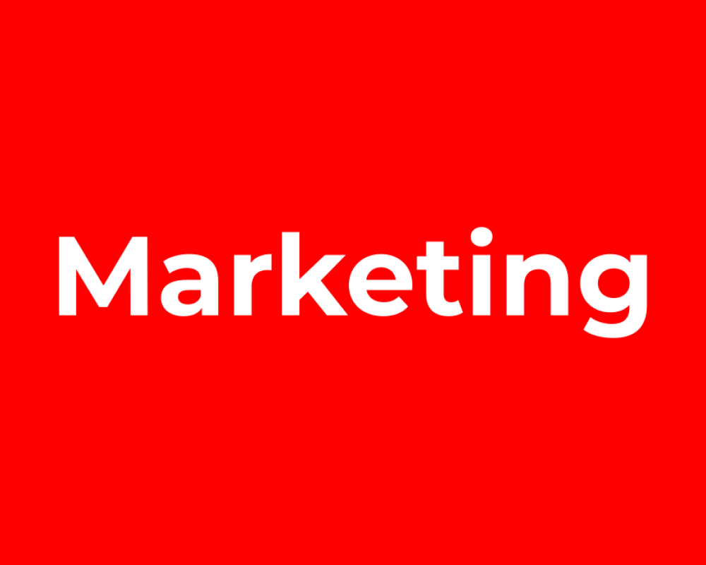 “Voice Search Optimization: How to Future-Proof Your Marketing Strategy”